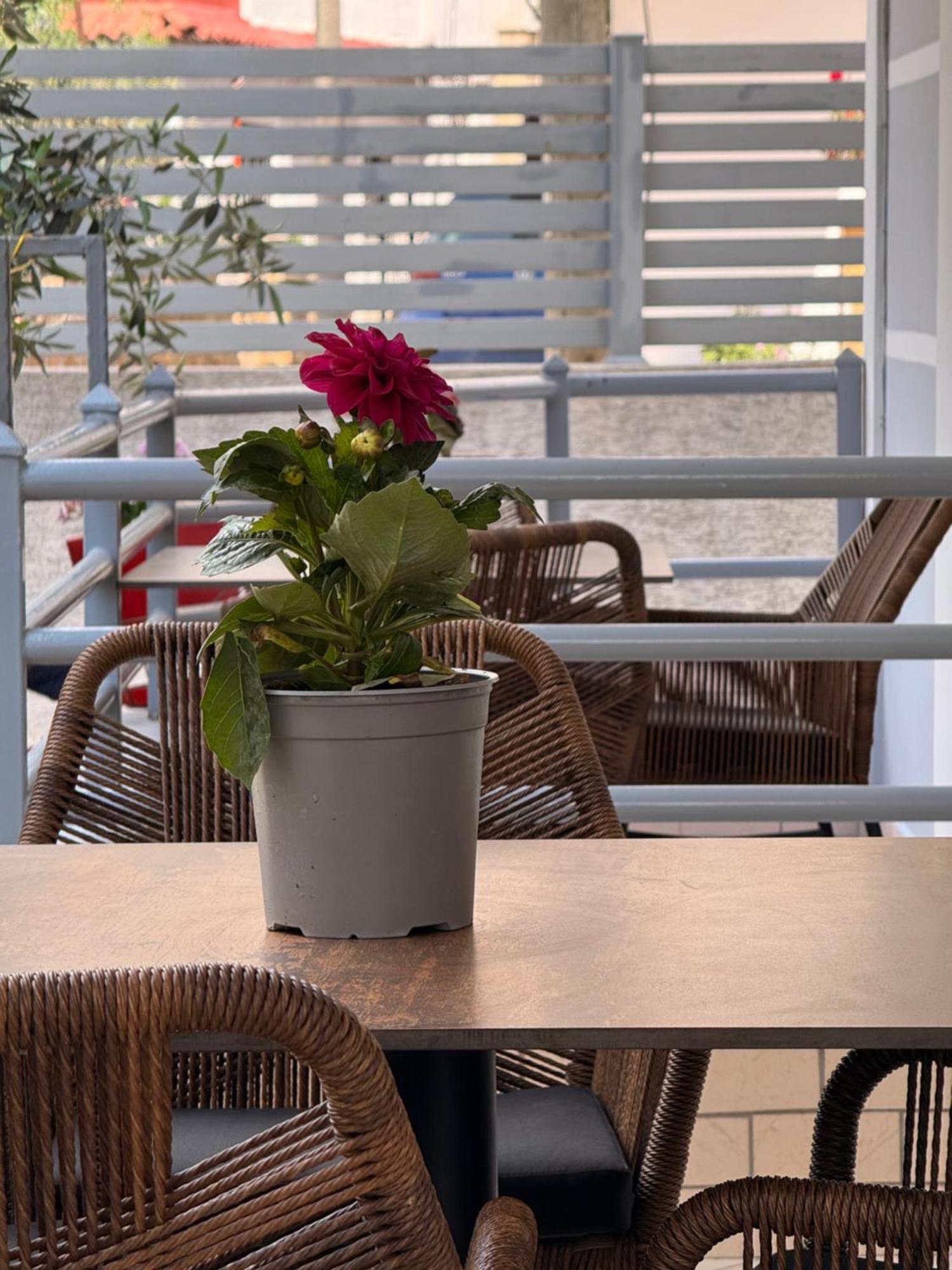 Apartments & Studios Ardian-Mandi Sarande-Albania Экстерьер фото